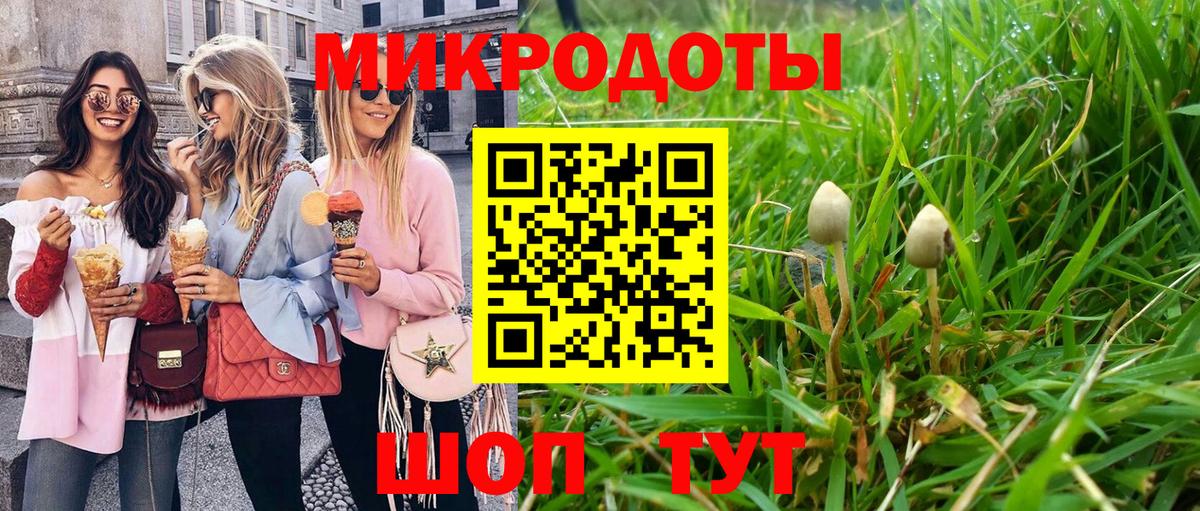 Псилоцибиновые грибы Psilocybe  Вход с VPN  как найти наркотики  Курганинск 